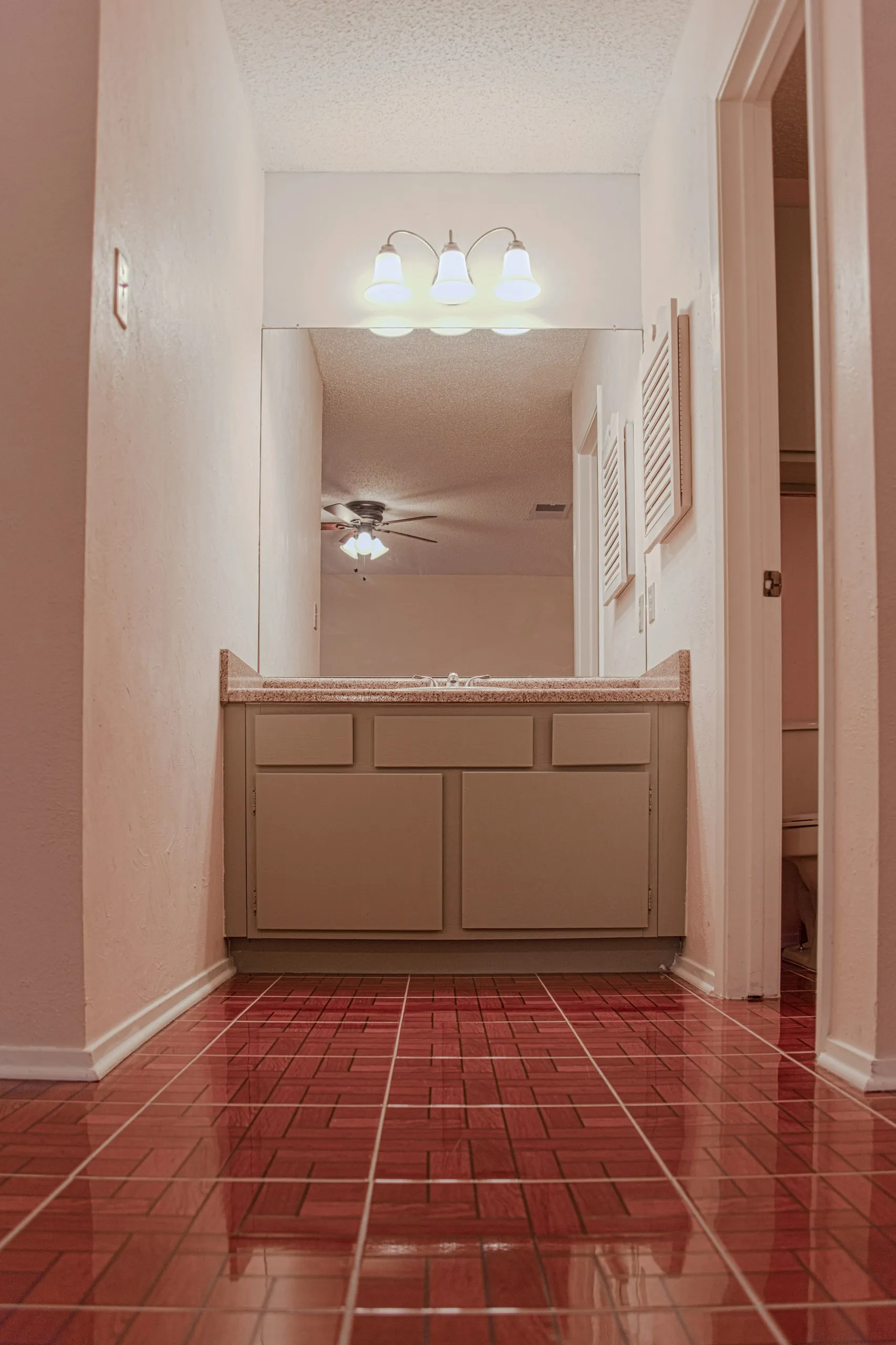 Hallway to the master vanity